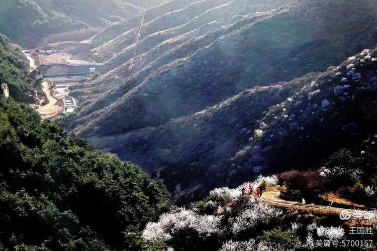 琴山赏春——三月踏青何处佳?琴山顶上看桃花。